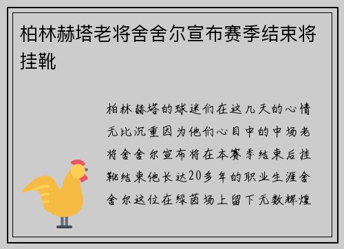 柏林赫塔老将舍舍尔宣布赛季结束将挂靴